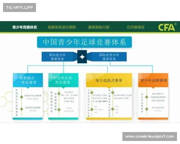国际垒联考察中国青训体系并探讨深化合作与共同培养计划